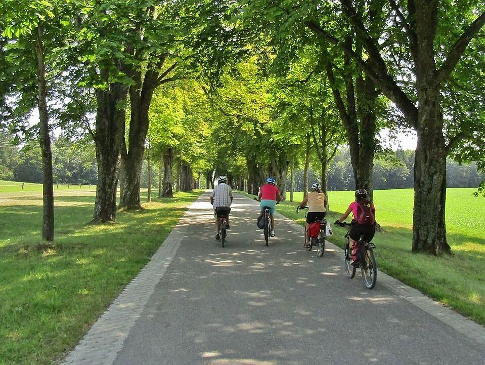Radtour auf Radweg Radfahrer auf Radweg im Grünen